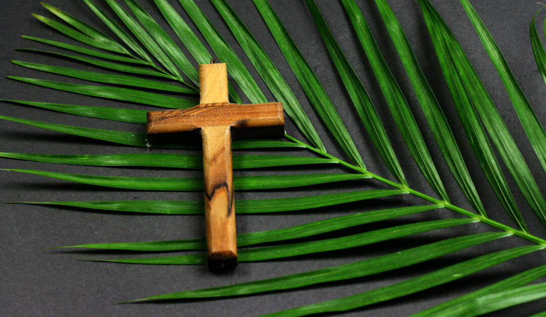 Come on and Celebrate! Palm Sunday (March 28th 2021)
