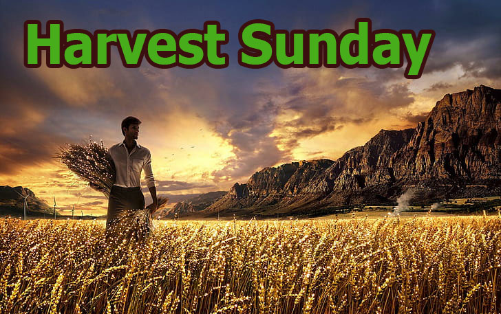 Harvest Sunday (Sunday October 3rd, 2021)