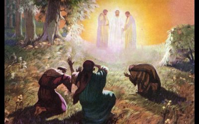 Transfiguration Sunday (Sunday February 11th, 2024 )